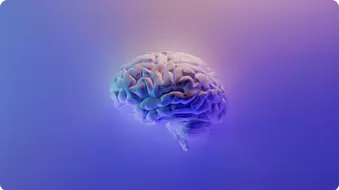 Ein menschliches Gehirn, dargestellt in lila und blauen Tönen, schwebt vor einem Hintergrund, der sanft von Lila zu Blau verläuft.